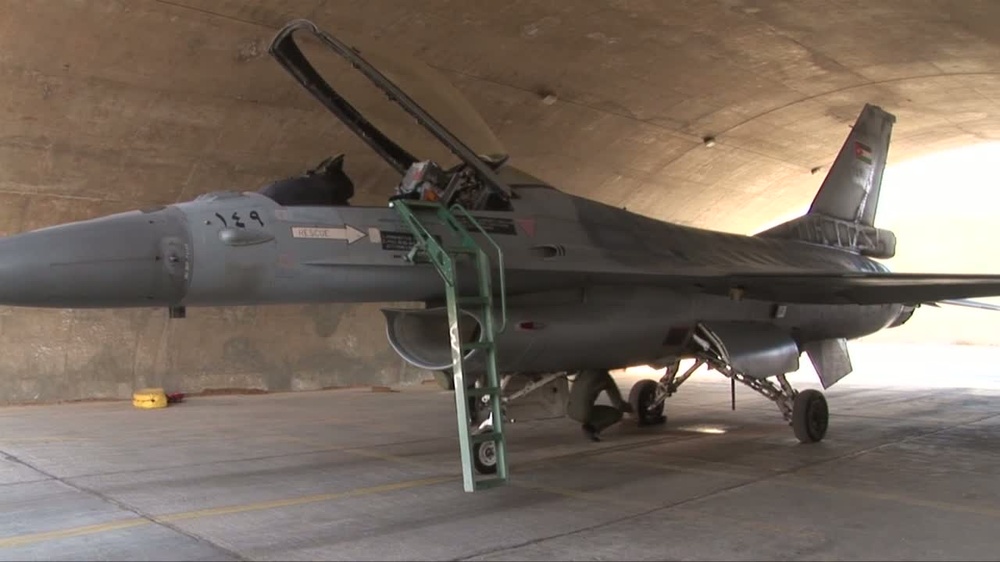 royal jordanian pilots