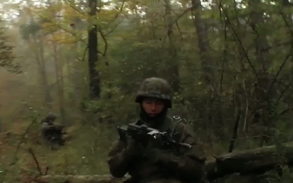 Polish Forces in fire fight at FSTE