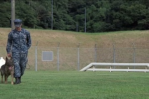 CFAS Masters-At-Arms train with Military Working Dogs