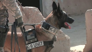 Dark Horse Soldiers Work with Iraqi Security Forces to Keep JBB Safe