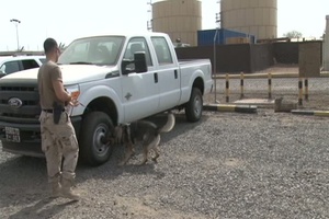 Military Working Dogs keep Camp Lemonnier Safe, (No Titles)