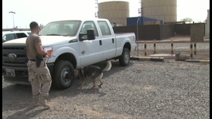 Military Working Dogs keep Camp Lemonnier Safe, (With Titles)