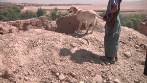 A Soldier and His Dog, Package