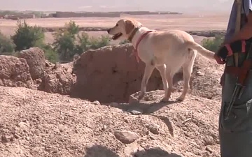 A Soldier and His Dog, Package