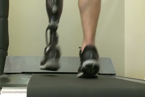 Postural Disturbance Study