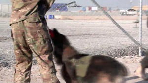 Enduring Freedom: Sgt. Benjamin Stopyra
