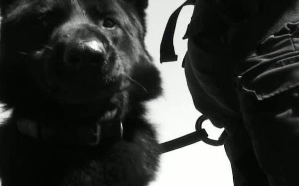 Coast Guard Top Videos of 2011: Flying Dog Exercise