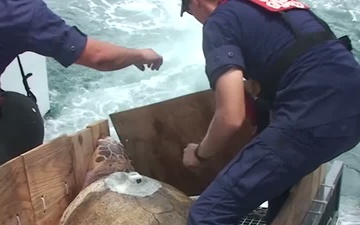 Coast Guard Top Videos of 2011: Sea Turtle Release