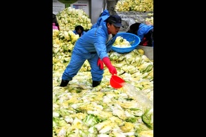 Spotlight on Korea: Kimchi