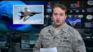 Air Force Report: F-15 Purchase