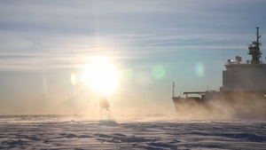 Dolphin Sea Ice Landing