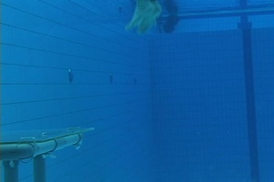 Diver-propulsion device