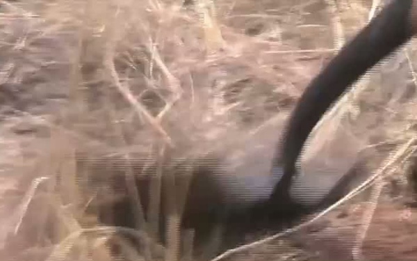 CAT J: Soldier Fire Training (USAG Fort Huachuca)