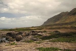 CAT P: Kaena Point Command Information Campaign (USAGHI)
