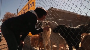 Army Veteran Lends Hand to El Paso Animals