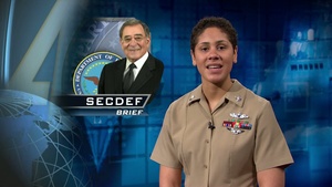 All Hands Update: Defense Priorities