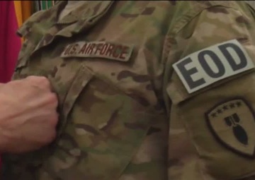 CMSAF Pins on Stripes - Package, Long