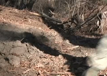 169th Security Forces - Operation Rita Exercise