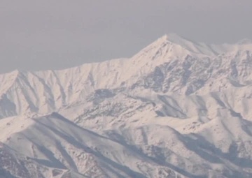 10th Sustainment Brigade PSD Team