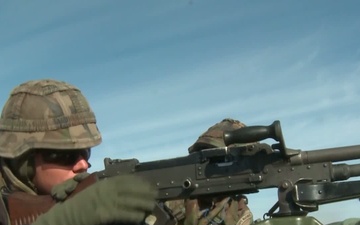 Bold Alligator American And French Marines Live Fire Training