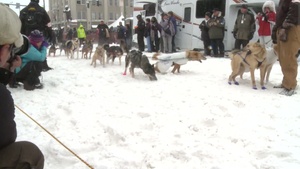 40th Iditarod