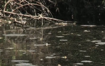 Los Angeles River History &amp; Revitalization