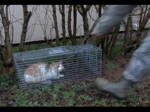 Two Minute Report: Pest Control