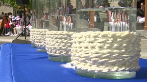 All Hands Update: Navy Memorial Holds Blessing of the Fleet Ceremony