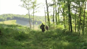 Soldiers take aim at recovery in Center Hill Lake wild turkey hunt