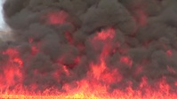 ARFF Marines Conduct Training with Fire