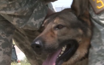 2012 DOD Military Working Dog Competition, Part 2