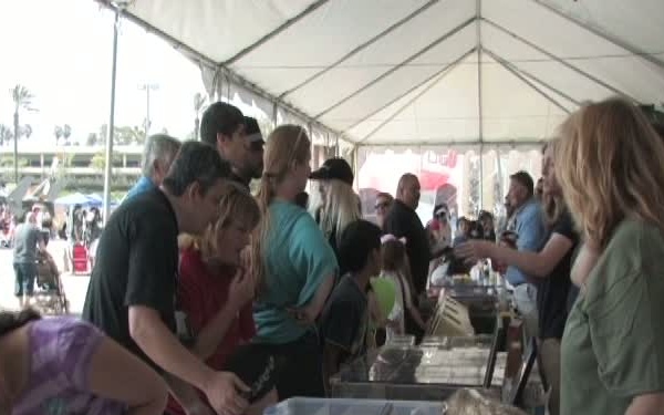 Torrance Armed Forces Days