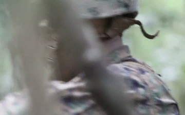31st MEU Marines Navigate the Okinawa Jungle - Broll