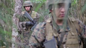 MarinesTV Headlines: Jungle Training