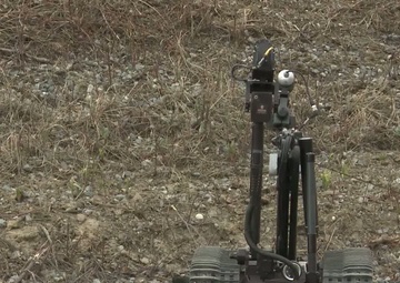 Operation Tundra Wolf II