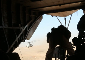 Ugly Angels Deliver Devil Dogs