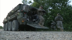 Immediate Response 2012 (2CR Raid Training)