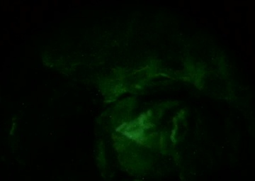 Hitting the Drop Zone