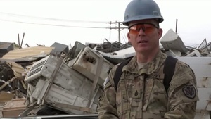 Freedom File - Jun. 13, Junk Yard Dogs