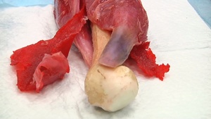 Innovations in Synthetic Tissue & Medical Simulators