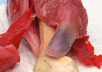 Innovations in Synthetic Tissue &amp; Medical Simulators