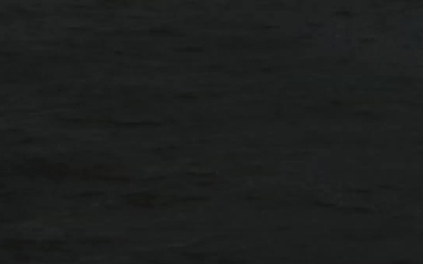 Piracy: The Human Cost, IT Version