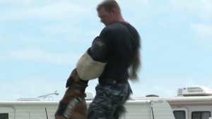 All Hands Update: Mayport, Fla. K9 Unit Conducts Training
