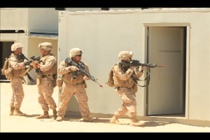 Kiwi soldiers and Marines rekindle bonds