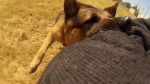 Dog, Handler Share Unbreakable Bond