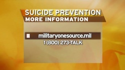 Military suicides show sharp increase