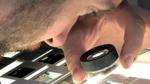 Veterans Curation Program creates more jobs for veterans