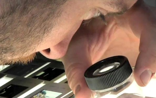 Veterans Curation Program creates more jobs for veterans