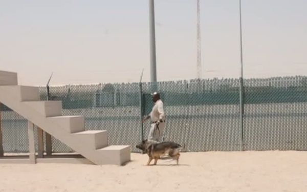 The Daily Grind: A day in the life of the K9 Unit