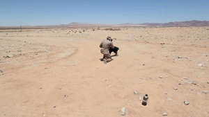 1st Law Enforcement Battalion Trains During Javelin Thrust 2012